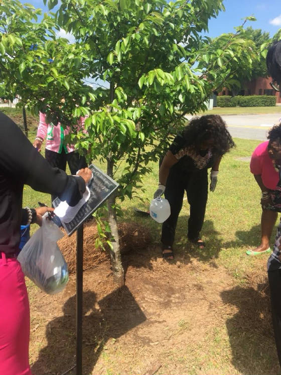 ArborDay2018.JPG